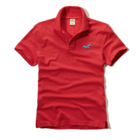 POLO HOLLISTER NEWPORT